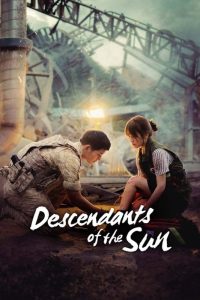 Descendants of the Sun (2016) Hindi Org Dub +Korean Season 1 Complete Series 480p 720p 1080p